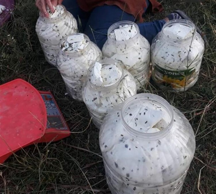 Turşu suyuyla mayalanıyor, soğuk sularda saklanıyor