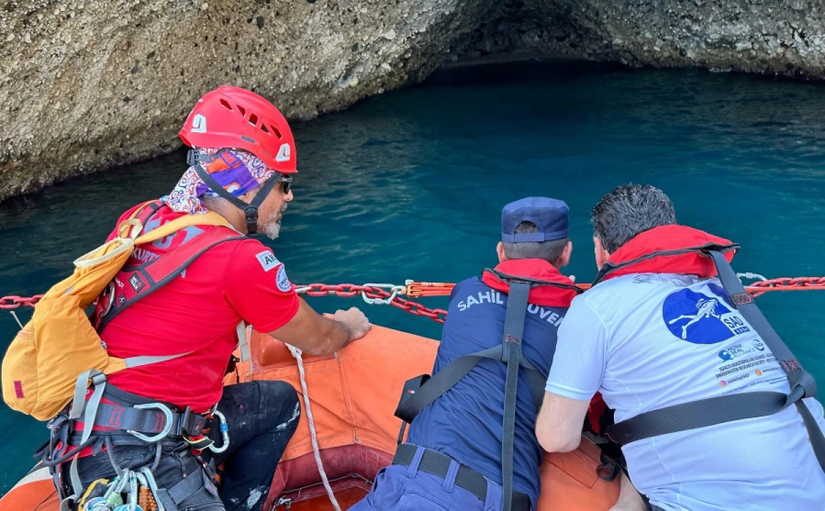 Akdeniz Foklarının &Uuml;reme Alanı G&uuml;vence Altında