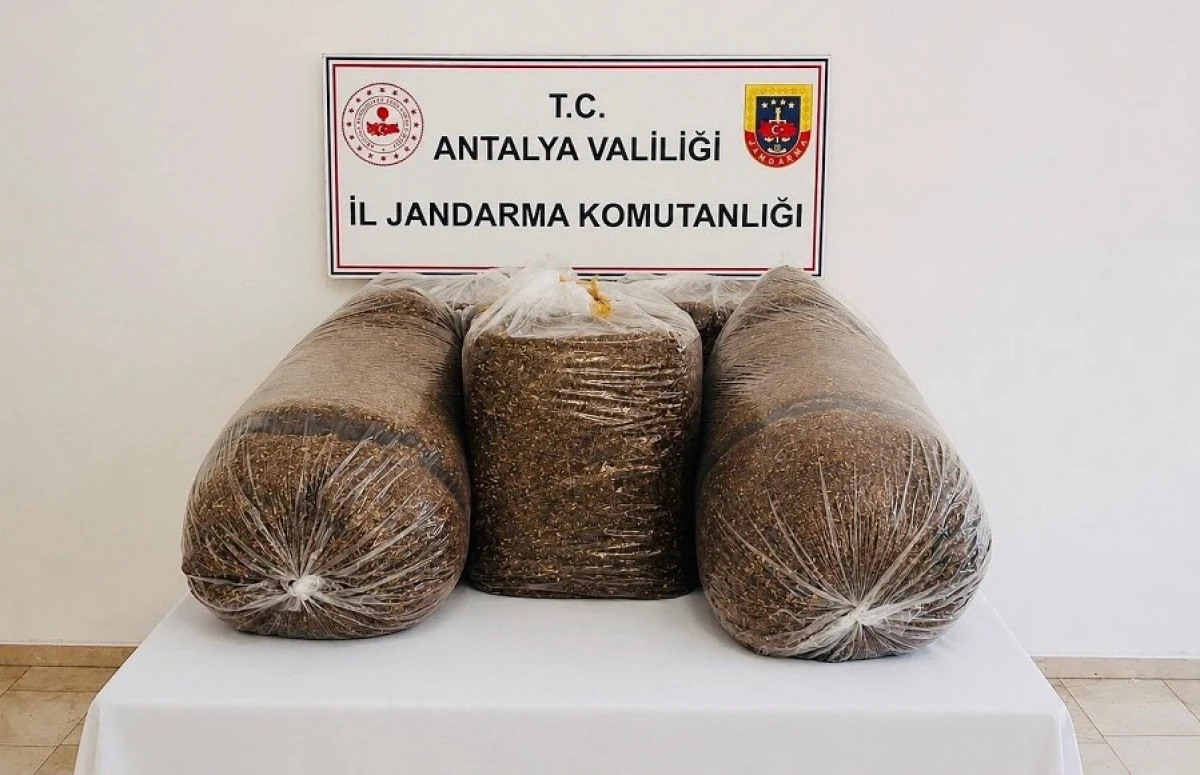 Aksu ve Serik&rsquo;te Ka&ccedil;ak T&uuml;t&uuml;n Operasyonu: 365 Kilo T&uuml;t&uuml;n Ele Ge&ccedil;irildi