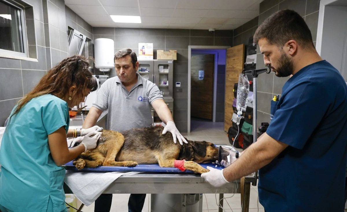 Aksu&rsquo;da Yangın Dehşeti: 105 K&ouml;pek Son Anda Kurtarıldı