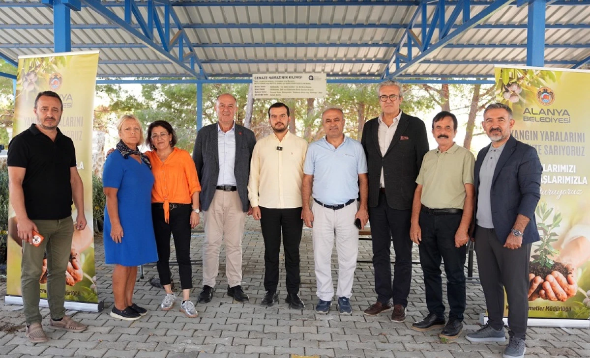 Alanya Belediyesi Yangın Sonrası Fidan Dağıtımına Başladı