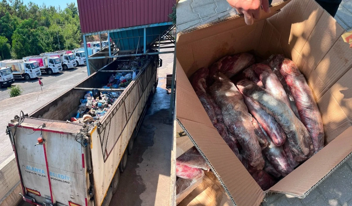 Alanya'da 300 Kilo Ş&uuml;pheli Et İmha Edildi