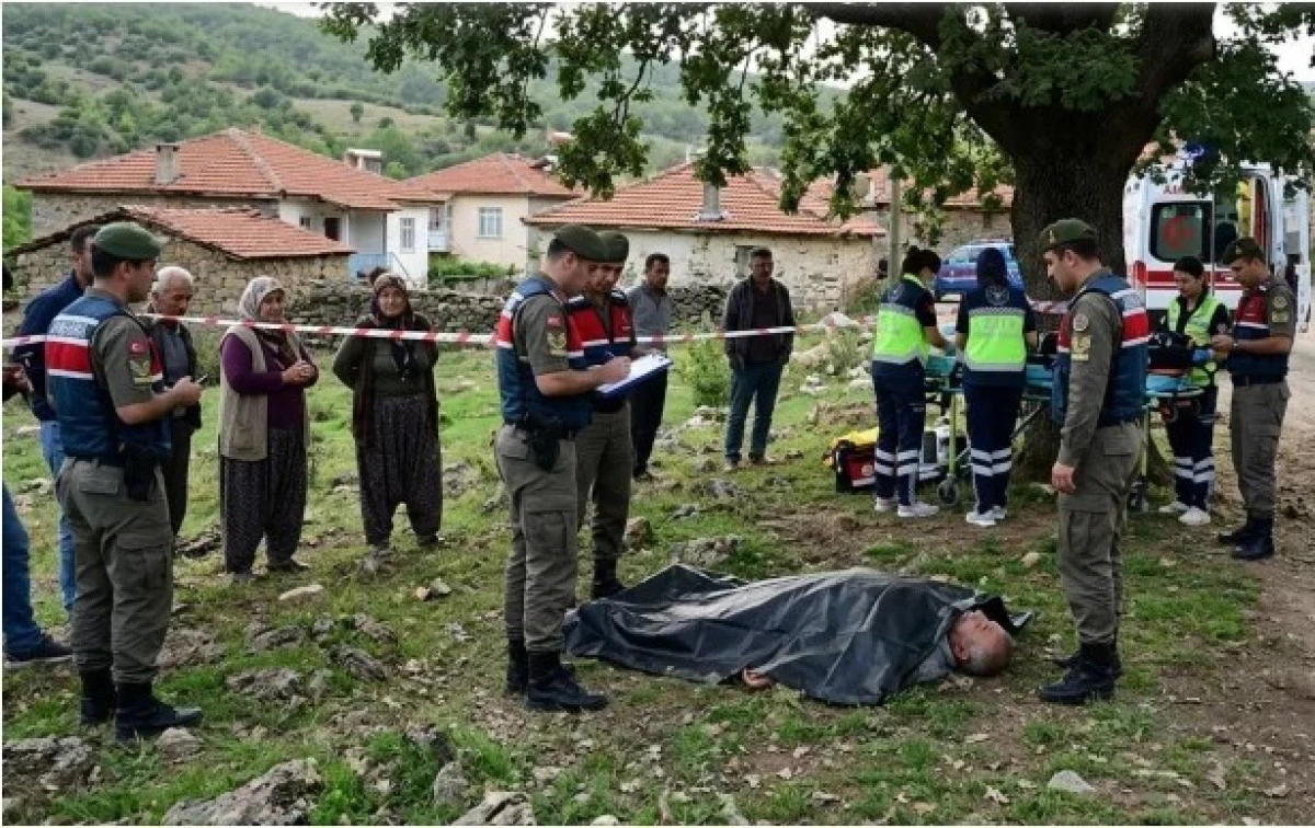 Alanya&rsquo;da Ağa&ccedil; Kesimi Faciası: 51 Yaşındaki Adam Hayatını Kaybetti