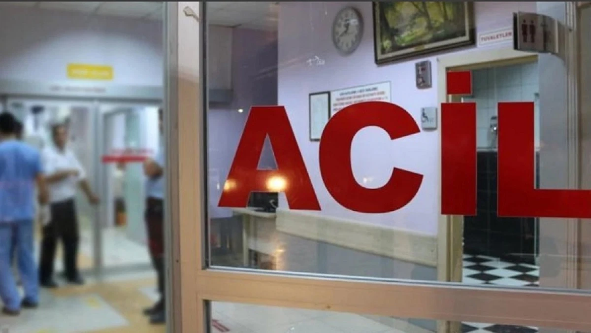 Alanya’da Bahçesini İlaçlarken Zehirlendi