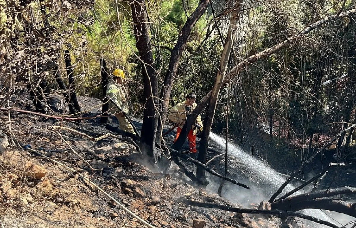 Alanya&rsquo;da &Ccedil;alılık Alanda Yangın Paniği
