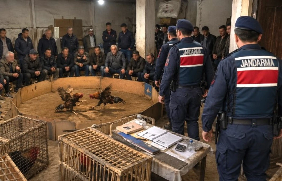 Alanya&rsquo;da Horoz D&ouml;v&uuml;ş&uuml; Operasyonu: 11 Kişiye Ceza