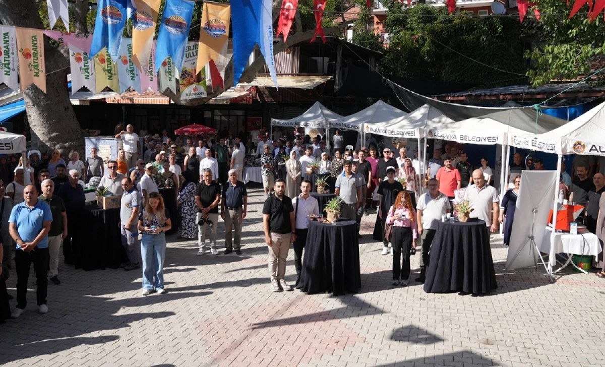 Alanya&rsquo;da Ke&ccedil;iboynuzu Hasadı Şenlikle Ta&ccedil;landı
