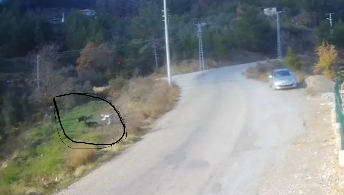 Alanya&rsquo;da Motosiklet Bah&ccedil;eye U&ccedil;tu, O Anlar Kamerada