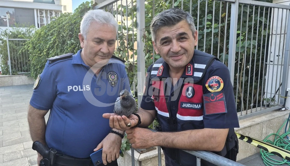 Alanya&rsquo;da Polis Ve Jandarmadan &Ouml;rnek Davranış
