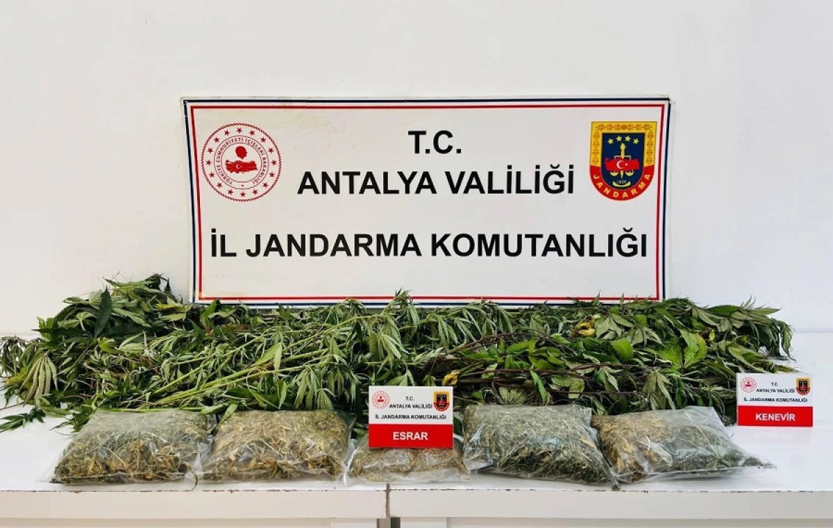 Alanya&rsquo;da Uyuşturucu Baskını! Evden 2 Kilo 642 Gram Esrar Ve 24 K&ouml;k Kenevir &Ccedil;ıktı