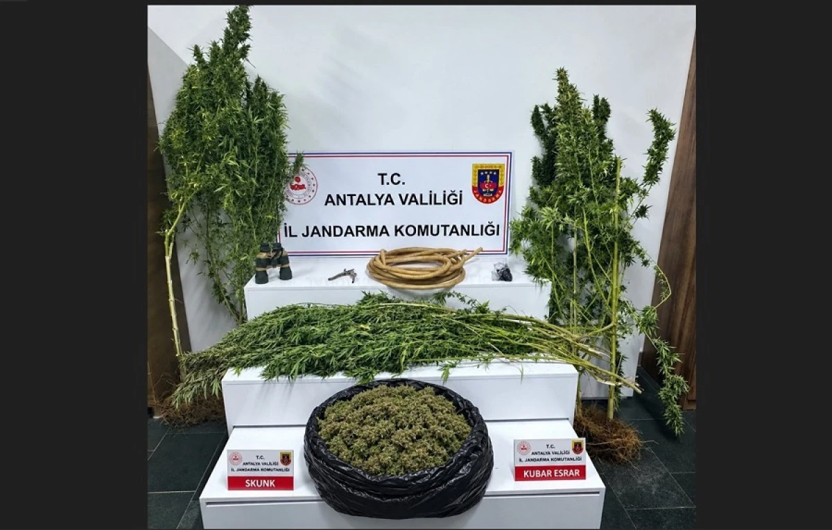 Alanya&rsquo;da Uyuşturucu Operasyonu: 12 Kilo 650 Gram Skunk Ele Ge&ccedil;irildi