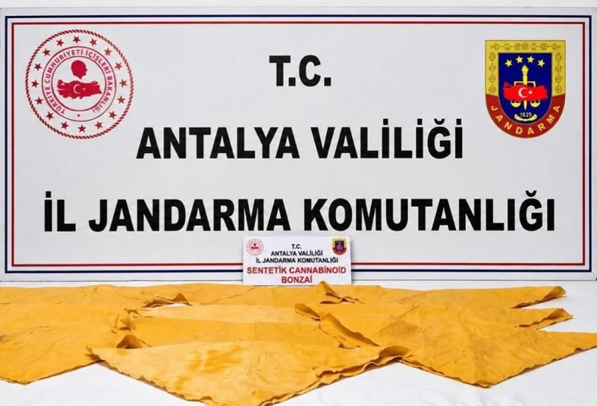 ALANYA&rsquo;DA UYUŞTURUCU OPERASYONU: 24 BİN KULLANIMLIK MADDE ELE GE&Ccedil;İRİLDİ