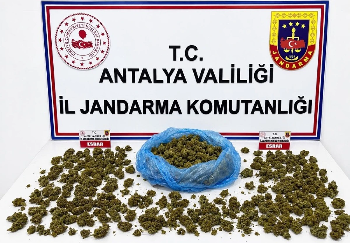 Alanya&rsquo;da Uyuşturucu Operasyonu: 745 Gram Esrar Ele Ge&ccedil;irildi