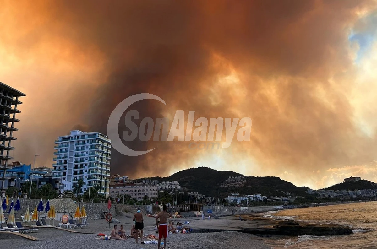 Alanya’nın Aliefendi Mahallesi’nde Orman Yangını