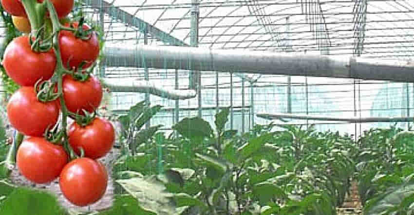 Antalya'da Tarıma Büyük Destek Sağlandı