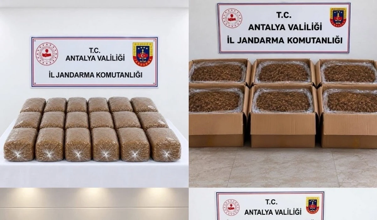 Antalya&rsquo;da Ka&ccedil;ak T&uuml;t&uuml;n Operasyonu: 500 Kilo Kıyılmış T&uuml;t&uuml;n Ele Ge&ccedil;irildi