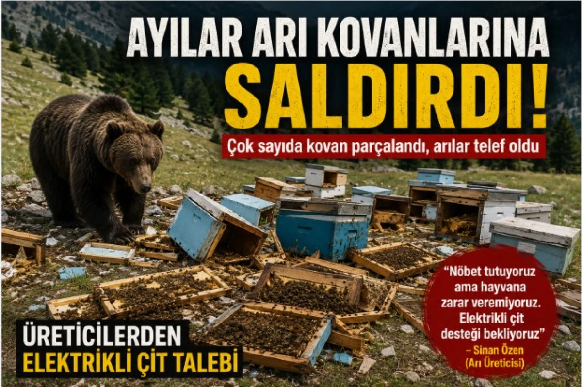 Ayılar Arı Kovanlarına Saldırdı: &Uuml;reticiler Elektrikli &Ccedil;it İstiyor
