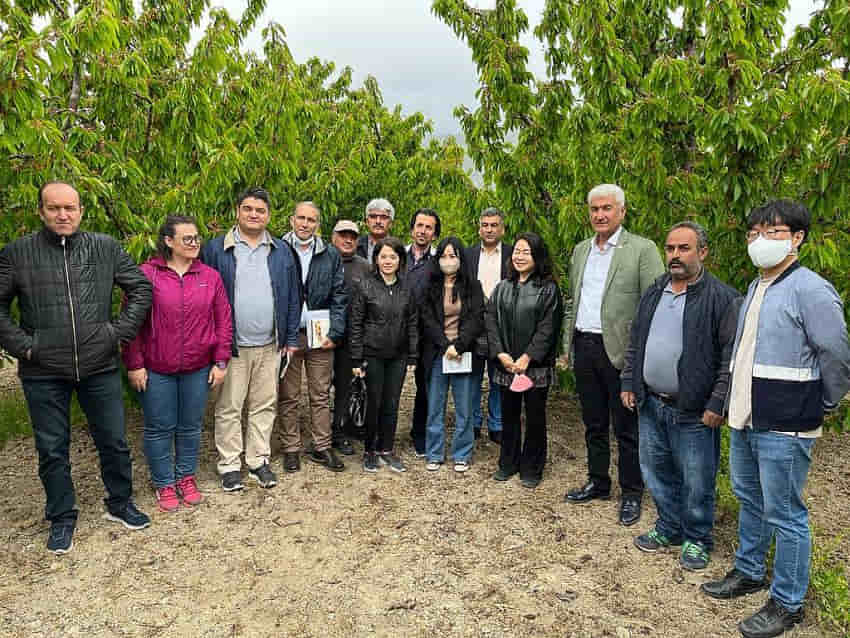 BAİB'den Güney Kore’ye kiraz ihracatı çalışmaları