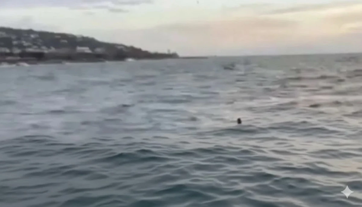 Denizde Acı Son: Alanyalı Murat Yayla Hayatını Kaybetti