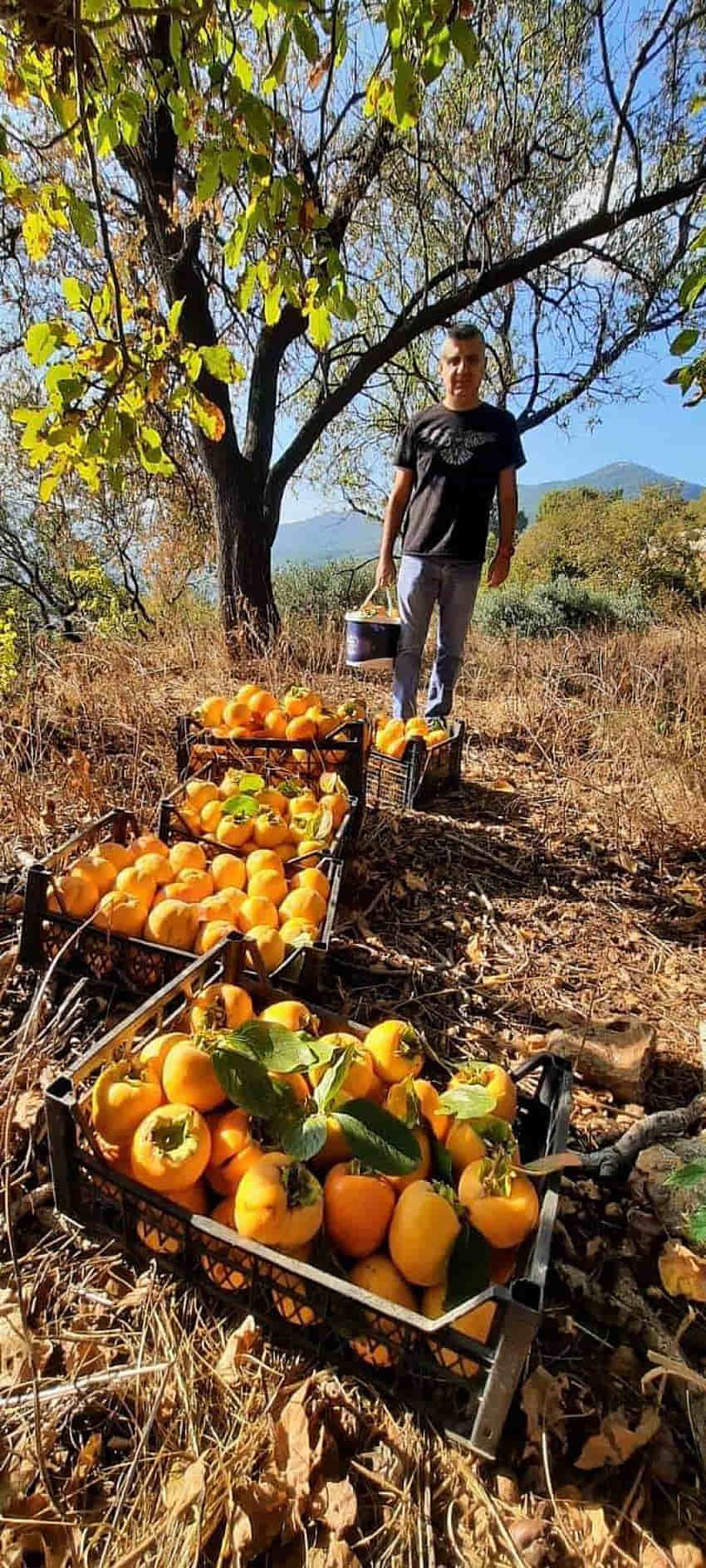 Alanya’nın Sevilen Doktor'u, Fayat Kök Hafta Sonunu Bahçede Geçirdi