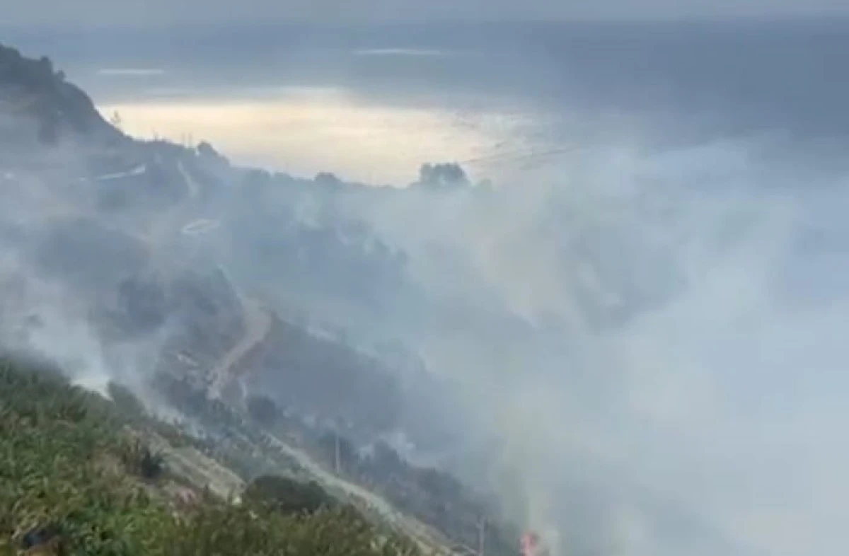 Gazipaşa Zeytinada Köyü'nde Orman Yangını: Ekipler Seferber Oldu