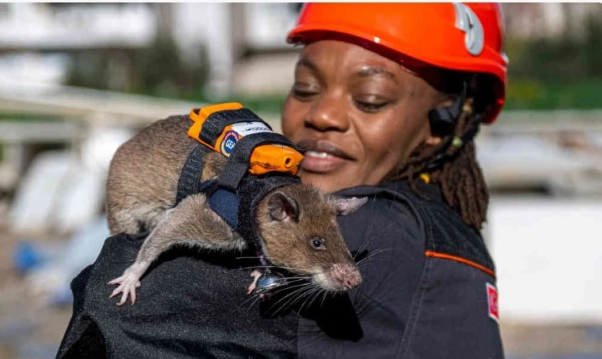 Kahraman Fareler Projesi Antalya&rsquo;da Tanıtıldı