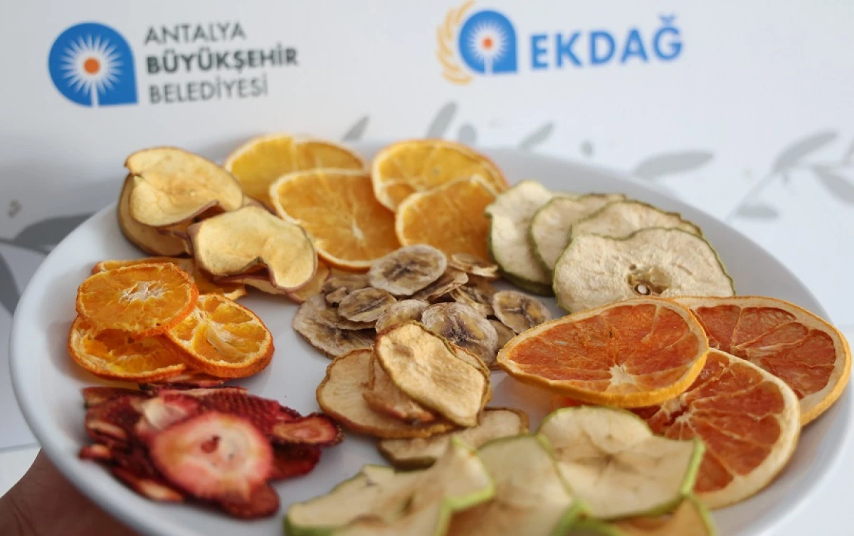 Korkuteli&rsquo;nde Yaş Meyve-Sebze Kurutma Tesisi &Uuml;retime Başladı