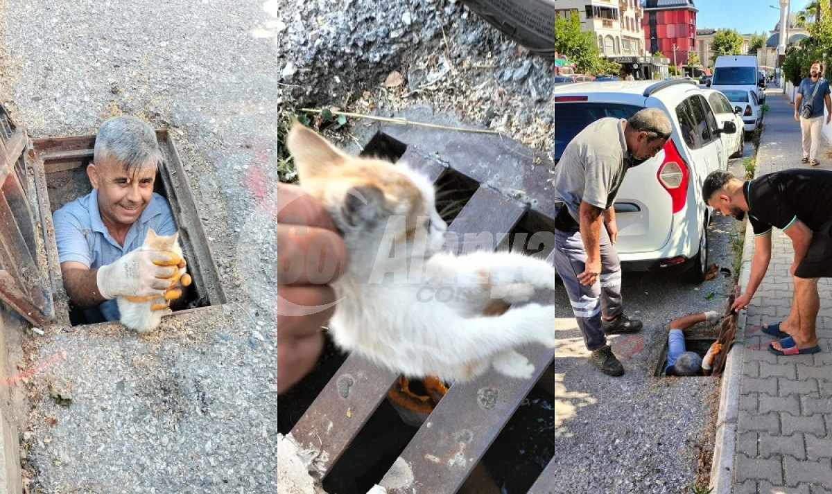 R&ouml;gar Giderine D&uuml;şen Yavru Kedi Belediyenin Dikkatli &Ccedil;alışmasıyla Kurtarıldı