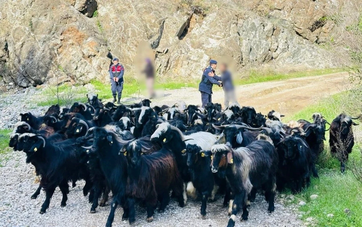 Vatandaşın Mağduriyetine Jandarmadan Anında M&uuml;dahale