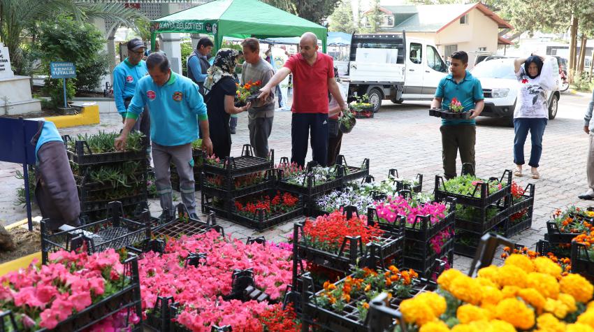  Alanya Belediyesi bayramda 62 bin çiçek dağıttı