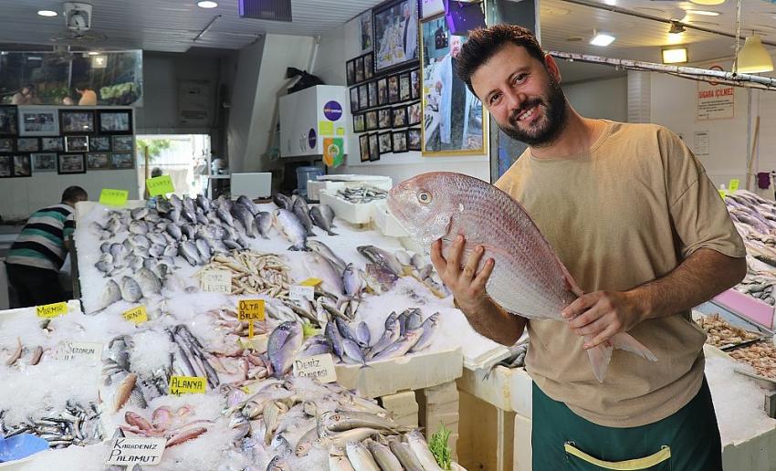 Alanya'da av sezonun açılmasıyla balıklar tezgahlardaki yerini aldı