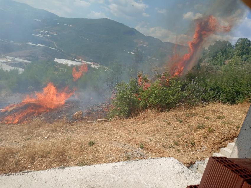 Alanya'da tarım arazisinde başlayan yangında 10 dönüm zarar gördü