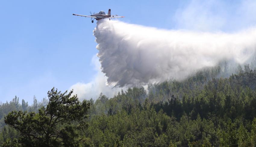  Alanya'daki orman yangını kontrol altına alındı