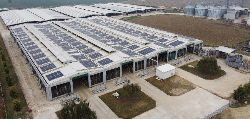 CW Enerji, tarım çiftliğine güneş enerji santrali kurdu