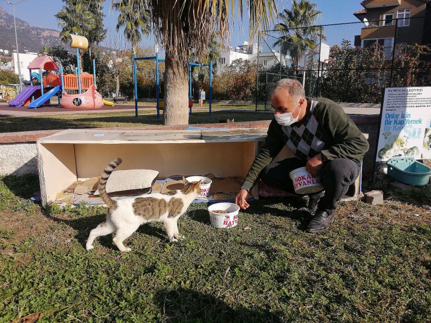 Kemer'de bir ayda 27 sokak hayvanı sahiplendirildi