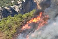 Adrasan'daki orman yangını kontrol altına alındı
