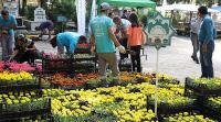 Alanya Belediyesi Bayramda Ücretsiz 60 Bin Çiçek Dağıtacak