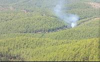  Alanya’da orman yangınında 2 dönüm alan zarar gördü