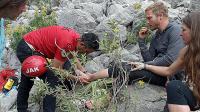 Dağ'a Tırmanırken  mahsur kalan Amerikalı turist, Skorsky ile kurtarıldı