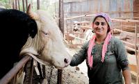 Evde canı sıkılan kadın hayvancılık işine girip 15 yılda servet sahibi oldu