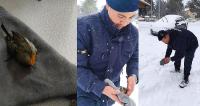  Jandarma, soğuktan donmak üzere olan kuşu kendi kıyafetiyle ısıttı