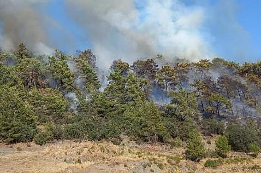 Kumluca’da çıkan orman yangını kontrol altına alındı